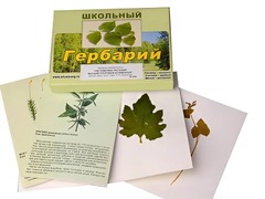 Гербарий "Систематика растений. Высшие споровые и семенные" (раздаточный) - fgospostavki.ru - Сергиев Посад