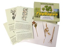 Гербарий "Систематика растений. Семейство Бобовые. Злаки" (раздаточный) - fgospostavki.ru - Сергиев Посад