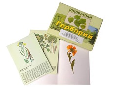 Гербарий "Систематика растений. Семейство Пасленовые. Крестоцветные. Сложноцветные" (раздаточный) - fgospostavki.ru - Сергиев Посад