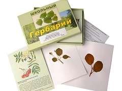 Гербарий "Систематика растений. Семейство Розоцветные" (раздаточный) - fgospostavki.ru - Сергиев Посад