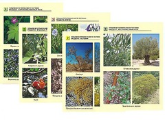 Гербарий фотографический по географии - fgospostavki.ru - Сергиев Посад
