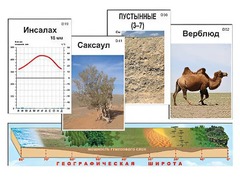 Модель-аппликация "Природные зоны" - fgospostavki.ru - Сергиев Посад