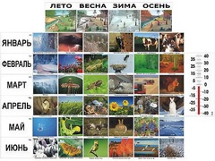 Фенологические наблюдения - fgospostavki.ru - Сергиев Посад