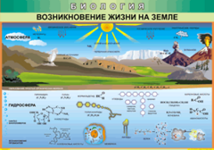 Таблица "Возникновение жизни на земле" (100х140 сантиметров, винил) - fgospostavki.ru - Сергиев Посад