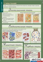 Комплект таблиц. Биология 8-9 класс. Человек. - fgospostavki.ru - Сергиев Посад