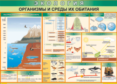 Таблица "Организмы и среды их обитания" (100х140 сантиметров, винил) - fgospostavki.ru - Сергиев Посад