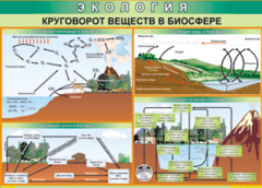Таблица "Круговорот веществ в биосфере" (100х140 сантиметров, винил) - fgospostavki.ru - Сергиев Посад