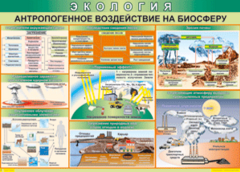 Таблица "Антропогенное воздействие на биосферу" (100х140 сантиметров, винил) - fgospostavki.ru - Сергиев Посад