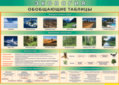 Таблица "Экология. Обобщающие таблицы" (100х140 сантиметров, винил) - fgospostavki.ru - Сергиев Посад