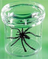 Баночка для изучения насекомых GeoSafari - fgospostavki.ru - Сергиев Посад