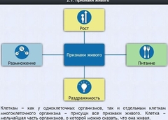 Интерактивные курсы. Биология 5 класс. Базовый - fgospostavki.ru - Сергиев Посад