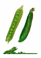 Комплект карточек "Запоминай, играй, считай" -  Овощи - fgospostavki.ru - Сергиев Посад