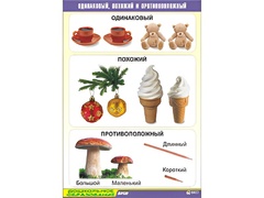 Таблица демонстрационная "Одинаковый, похожий и противоположный" (винил 70x100) - fgospostavki.ru - Сергиев Посад