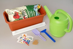 Набор "Я учусь выращивать растения" - fgospostavki.ru - Сергиев Посад