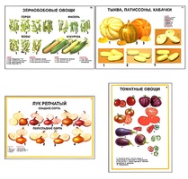 Плакаты ПРОФТЕХ "Ассортимент овощных культур" (12 пл, винил, 70х100) - fgospostavki.ru - Сергиев Посад