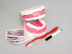 Игровой комплект "Чистим зубы" - fgospostavki.ru - Сергиев Посад