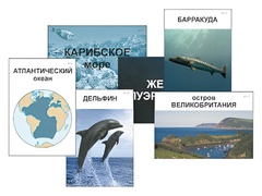 Модель-аппликация "Океаны. Знакомство" (ламинированная) - fgospostavki.ru - Сергиев Посад