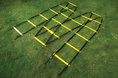 Лестница для тренировок (вариант 1) - fgospostavki.ru - Сергиев Посад