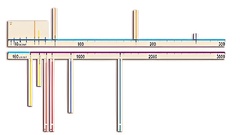 Модель-аппликация "Расстояния во Вселенной" - fgospostavki.ru - Сергиев Посад