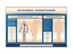 Электрифицированный стенд-тренажер "Остановка кровотечения" - fgospostavki.ru - Сергиев Посад