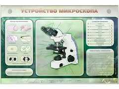 Электрифицированный стенд "Устройство микроскопа и правила работы c ним" - fgospostavki.ru - Сергиев Посад