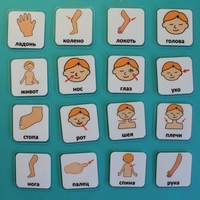 Набор карточек "Части тела" - fgospostavki.ru - Сергиев Посад