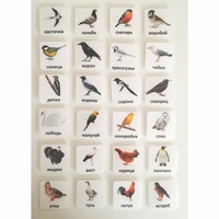 Набор карточек "ПТИЦЫ" - fgospostavki.ru - Сергиев Посад