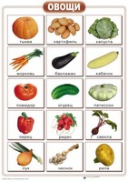 Таблицы "Окружающий мир" (формат А2, ламинированные, 10 таблиц) - fgospostavki.ru - Сергиев Посад