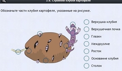 Интерактивные курсы. Биология 6 класс. Расширенный - fgospostavki.ru - Сергиев Посад