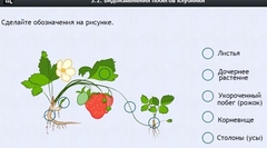 Интерактивные курсы. Биология 7 класс. Расширенный. - fgospostavki.ru - Сергиев Посад