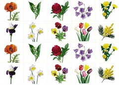 Комплект карточек "Запоминай, играй, считай" - Цветы - fgospostavki.ru - Сергиев Посад