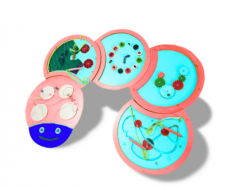 Тактильно-развивающая панель «Гусеница» - fgospostavki.ru - Сергиев Посад