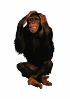 Комплект карточек "Запоминай, играй, считай" - Дикие животные - fgospostavki.ru - Сергиев Посад