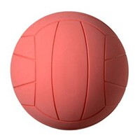 Мяч для игры в торбол звенящий - fgospostavki.ru - Сергиев Посад