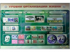 Электрифицированный стенд "Уровни организации жизни" - fgospostavki.ru - Сергиев Посад