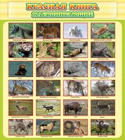Стенд "Красная книга - млекопитающие" - fgospostavki.ru - Сергиев Посад