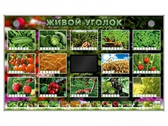 Комплект оборудования "Живой уголок" (растения) - fgospostavki.ru - Сергиев Посад
