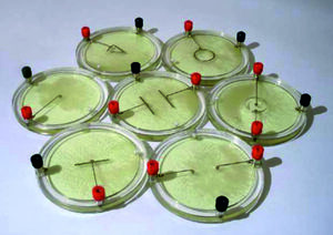 Демонстрационный комплект «Силовые линии электрического поля разных систем зарядов» - fgospostavki.ru - Сергиев Посад