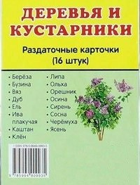 Раздаточные карточки "Деревья и кустарники" - fgospostavki.ru - Сергиев Посад
