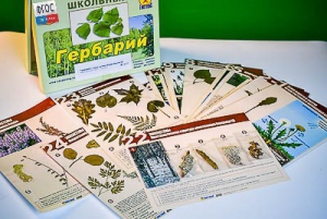 Гербарий к курсу основ общей биологии - fgospostavki.ru - Сергиев Посад