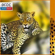 Зоология. (Цифровая база изображений) - fgospostavki.ru - Сергиев Посад
