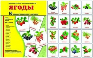 Демонстрационные карточки "Ягоды" - fgospostavki.ru - Сергиев Посад
