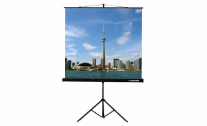 Проекционный экран на штативе Lumien Eco View (LEV-100105) 160x160 см - fgospostavki.ru - Сергиев Посад