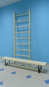 Стенка гимнастическая шведская премиум (1000х3200 мм) - fgospostavki.ru - Сергиев Посад