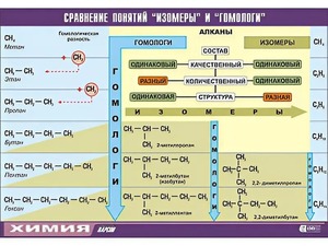 Таблица демонстрационная "Сравнение понятий изомер и гомолог" (винил 100x140) - fgospostavki.ru - Сергиев Посад