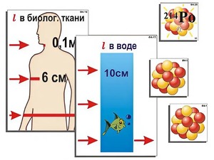 Модель-аппликация "Явление радиоактивности" (ламинированная) - fgospostavki.ru - Сергиев Посад
