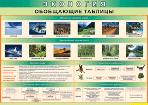 Таблица "Экология. Обобщающие таблицы" (100х140 сантиметров, винил) - fgospostavki.ru - Сергиев Посад