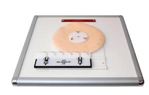 Комплекс "Изучение зубьев" - fgospostavki.ru - Сергиев Посад