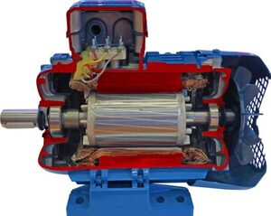 Учебная модель «Электродвигатель асинхронный в разрезе» - fgospostavki.ru - Сергиев Посад