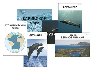 Модель-аппликация "Океаны. Знакомство" (ламинированная) - fgospostavki.ru - Сергиев Посад
